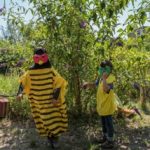 SUMM - Eine Abenteuerreise ins Bienenland - 2 Kinder mit Bienenkostüm